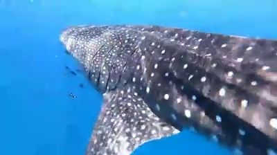 73d10c12-c0e4-414b-a17d-ae0ca073f18e