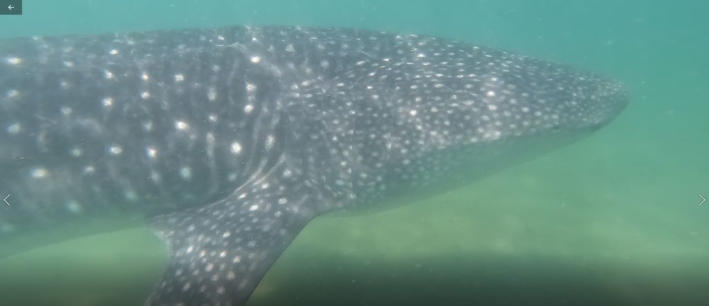 26daf2e4-d752-44f2-9158-a5e06bd33fc3