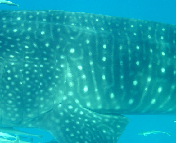 42a4ac9d-ae1e-41ea-b999-14c3244e33b5