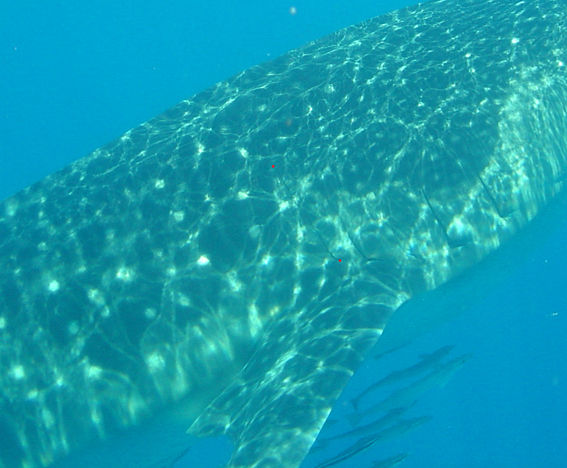 42a4ac9d-ae1e-41ea-b999-14c3244e33b5