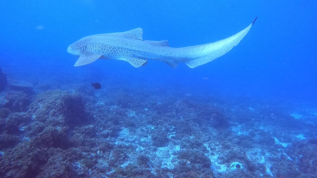 9d9a4794-451c-46ae-b77b-6b02fca96889