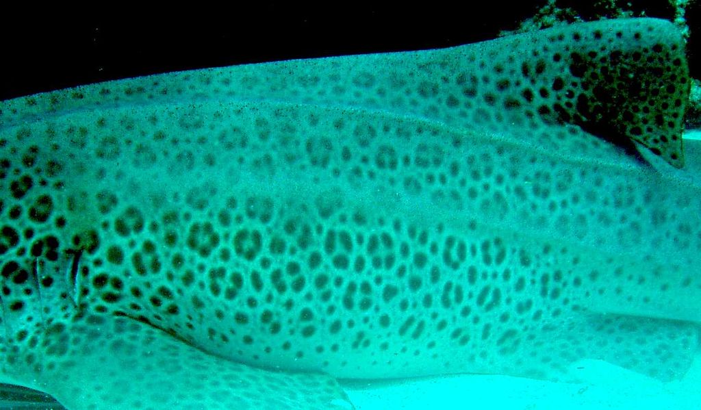 7950596d-3754-4da5-8839-f11b3f1fba79