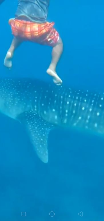 b5376757-b68e-4644-af3d-60db446b8d0a