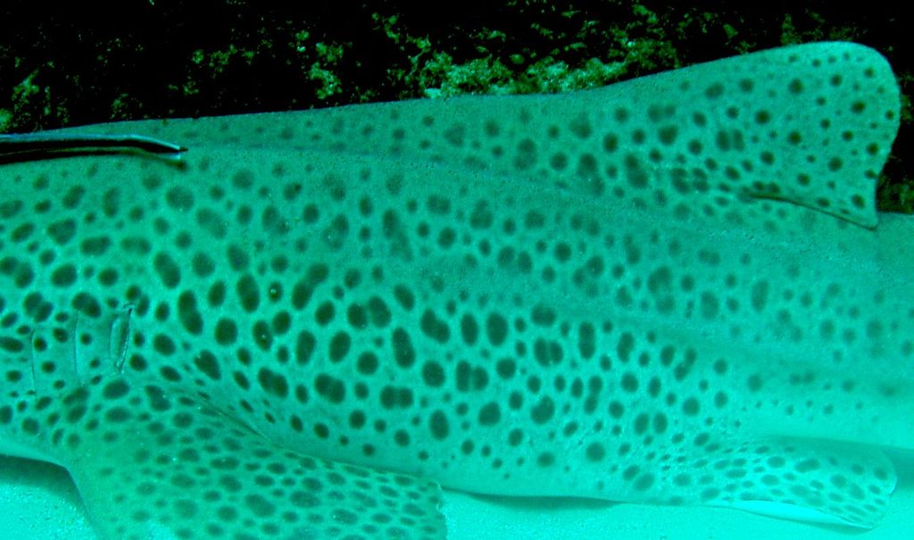 14079536-964c-428c-aadf-bea19ea59b23