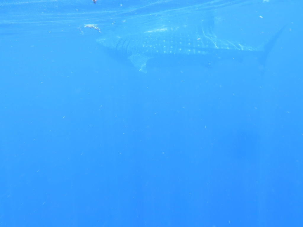 016b73cb-0ea1-4be5-899b-7a5cc2618868