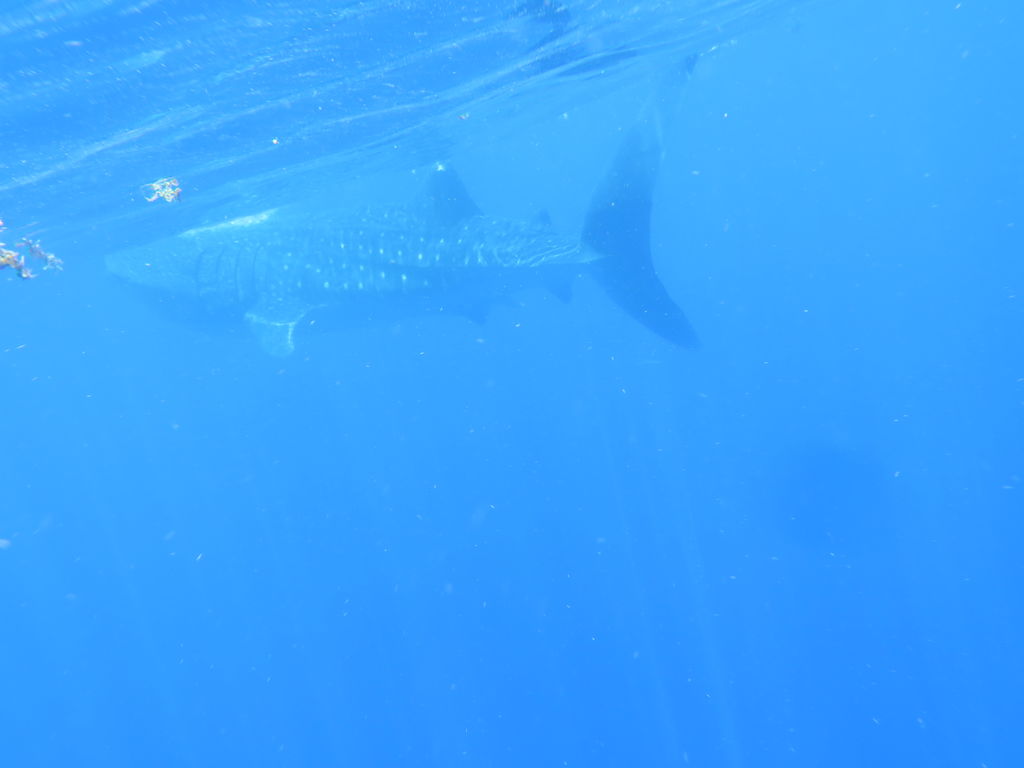 016b73cb-0ea1-4be5-899b-7a5cc2618868