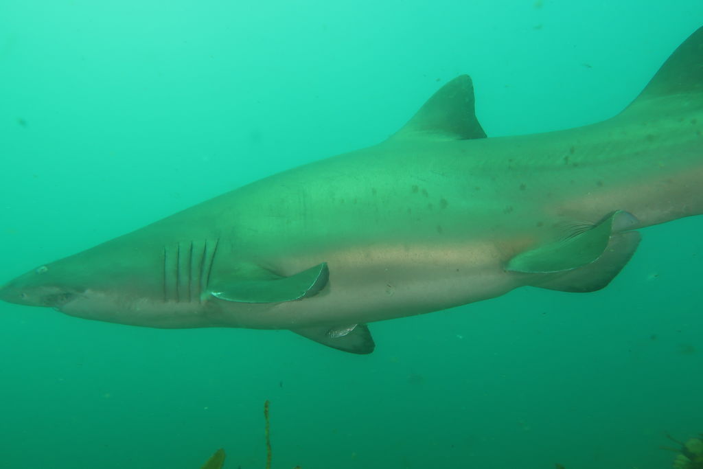 b006ecfa-e35e-4bd6-b394-702413982502