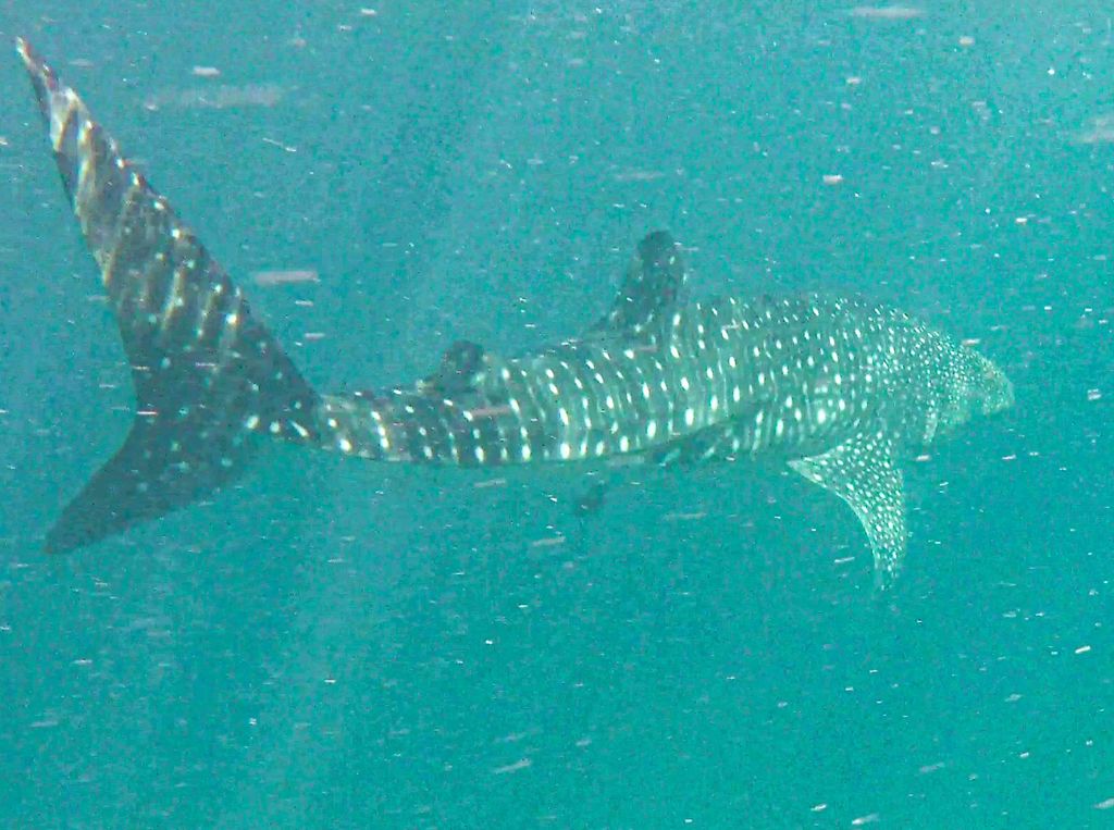 fa8ed92f-6388-4f41-8e89-47da487c6522