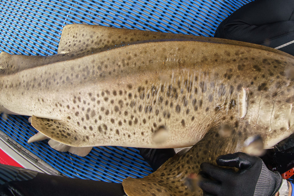 40a71e3d-e5ac-4e5b-9e32-c334b4b74921