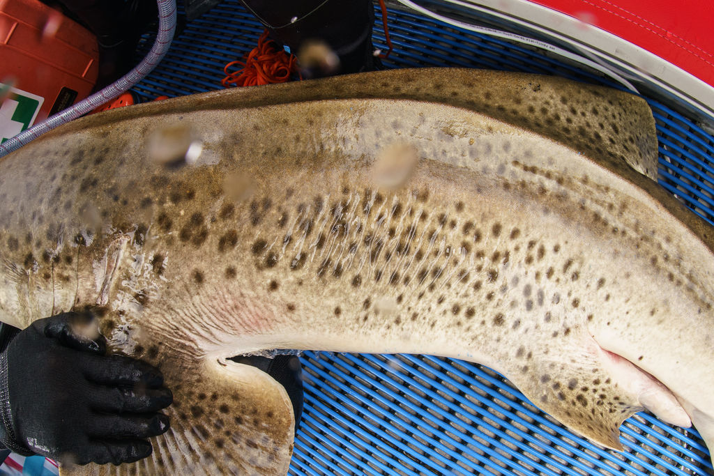 40a71e3d-e5ac-4e5b-9e32-c334b4b74921