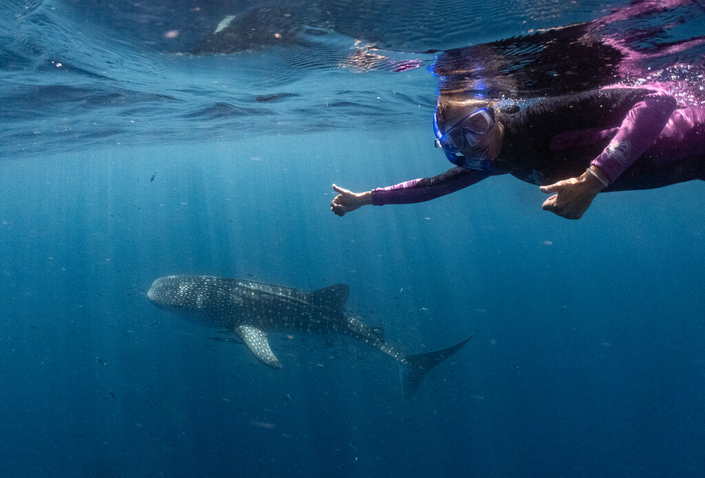 a2259016-e95a-4c50-a386-bd75fe4e981d