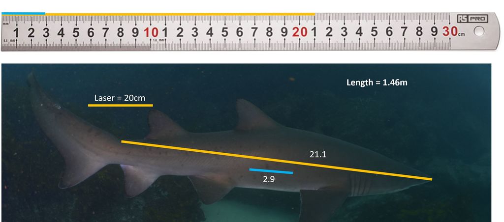 a150ab08-0f3d-47ec-b418-4db3e2a836e9