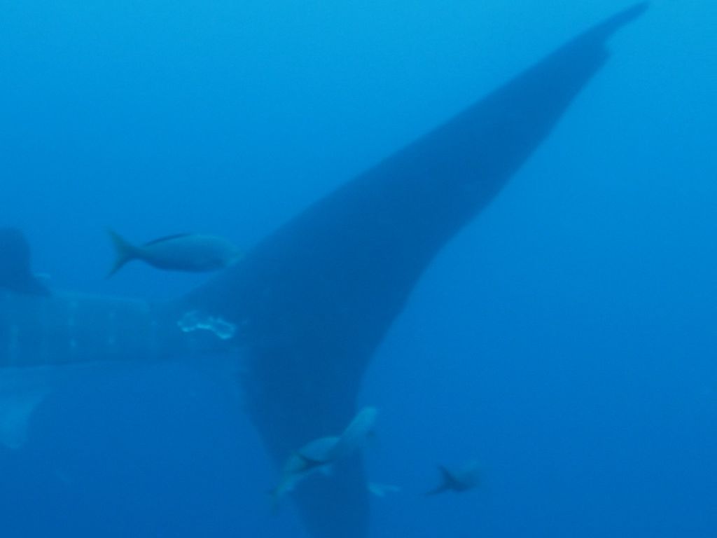 5ff20a4c-5614-41f4-9984-1f5034bd9830