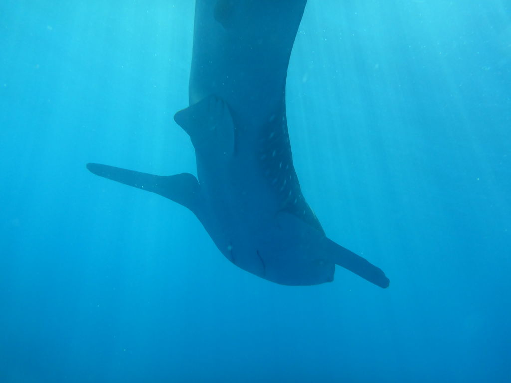 f7b1564c-0382-4524-8dcd-53e13f271cc8