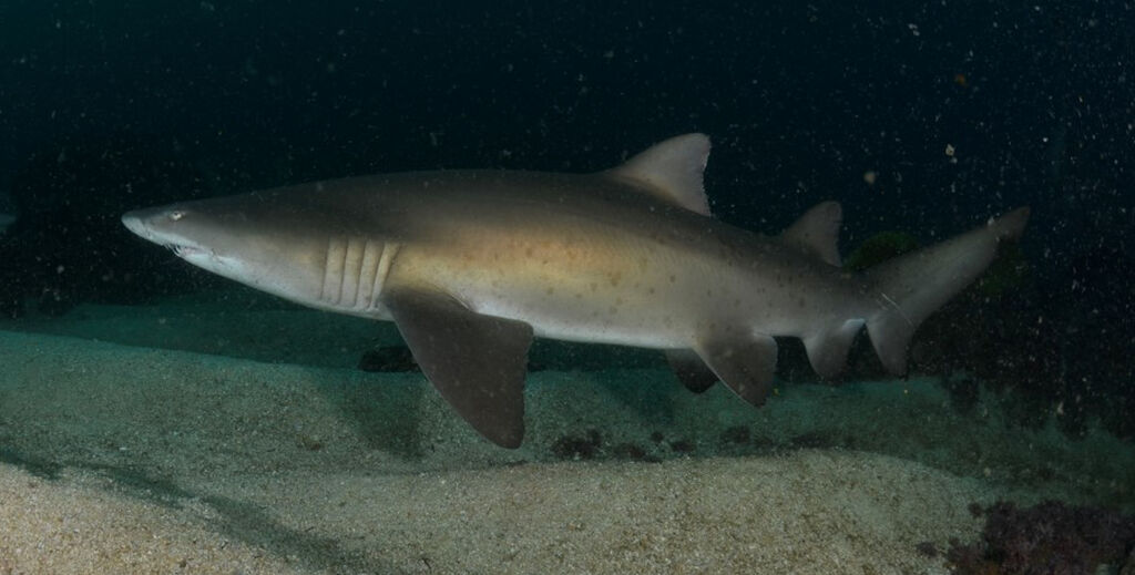 983d9929-1553-43b1-9acc-2e3348b86101