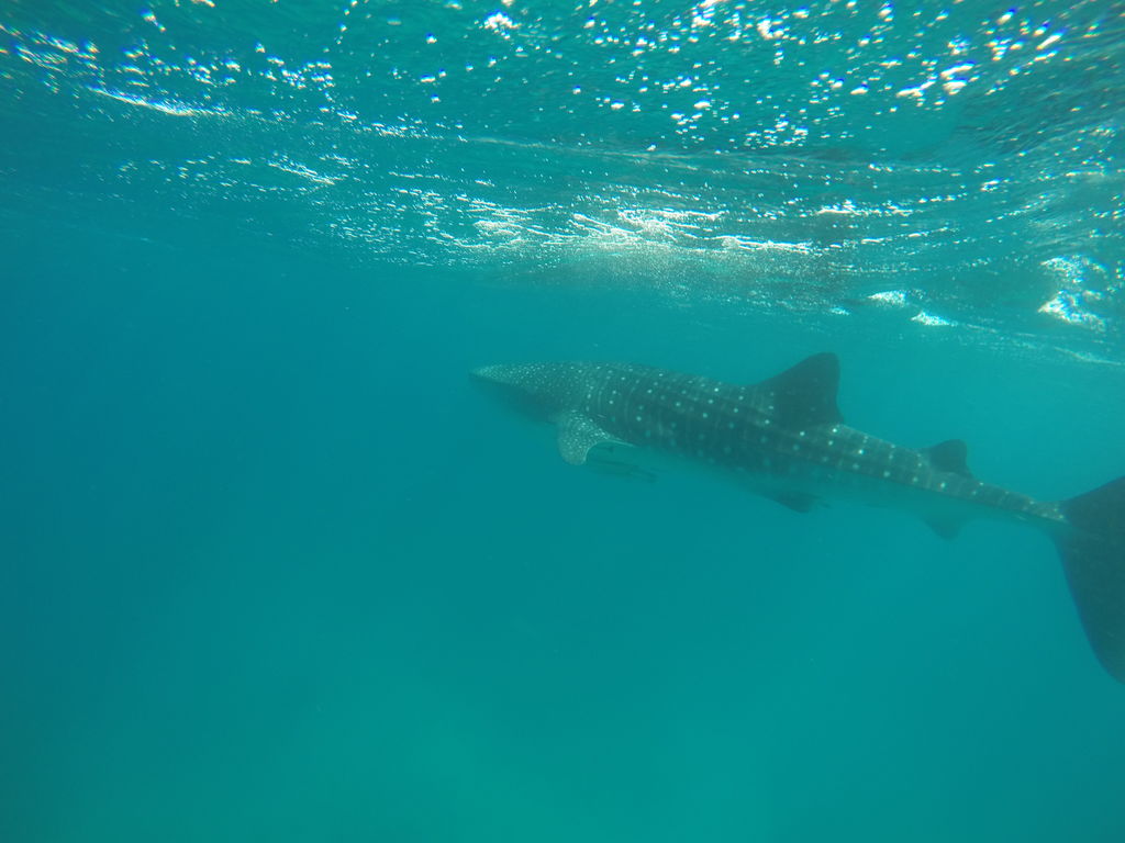 4469dee8-820e-467f-bf1d-3da7bea940f2