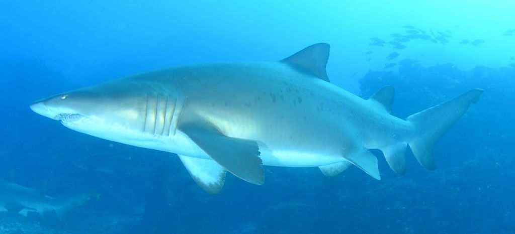 1a47b649-5919-482f-9ca0-8e09ba2ff877