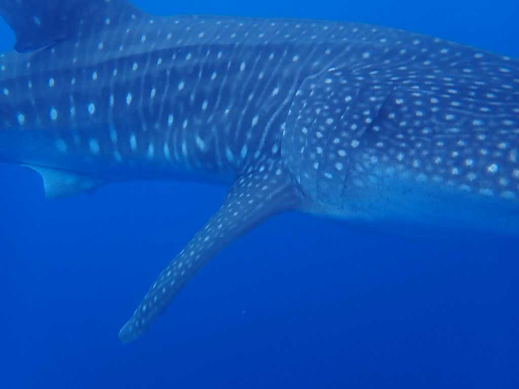 6509dc5d-9e14-497d-990a-403e72dfd830