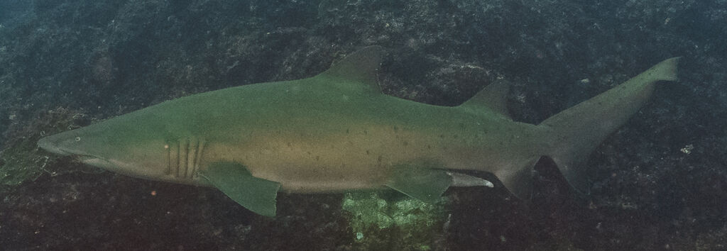 b77fa119-2a31-4c34-9c35-ccefd2ea978b