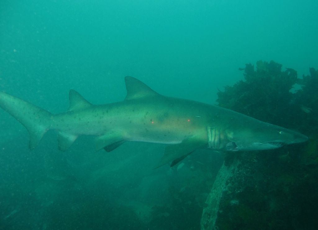 8ad97bc9-4966-4b24-8c46-c751f811cbda