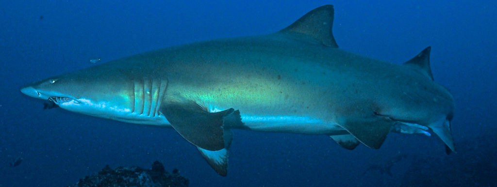 9ac656f8-6e07-4045-8499-725a1f517c02