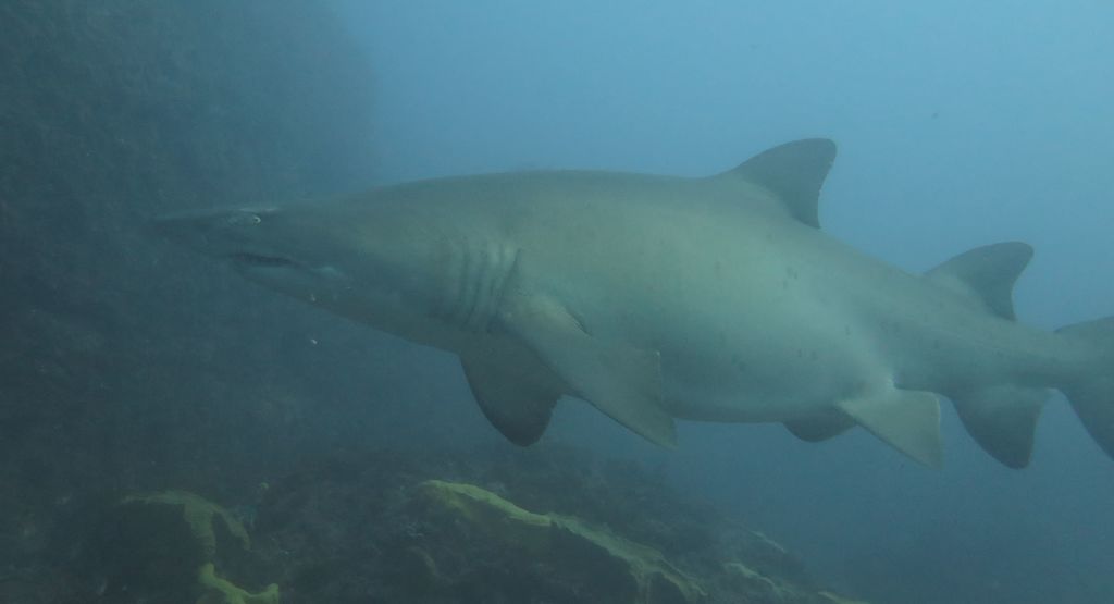 7291c306-98ed-4772-a9c8-38baf7110934