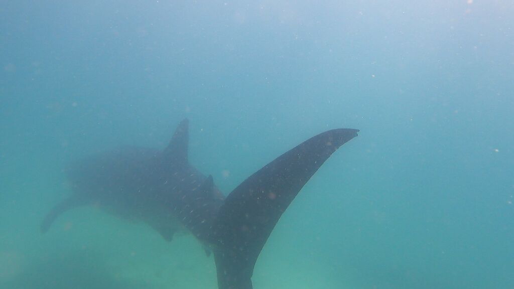 f4057bf8-ee1d-4bb7-a728-23c84c7536ff