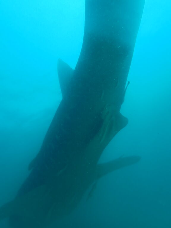 f4057bf8-ee1d-4bb7-a728-23c84c7536ff