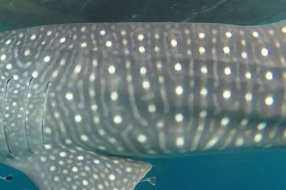 f4954d8b-7e44-46a5-9664-f7fafaf09642