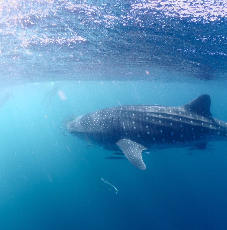 e8b07b92-999b-41ac-a8c1-aa4b865ade29