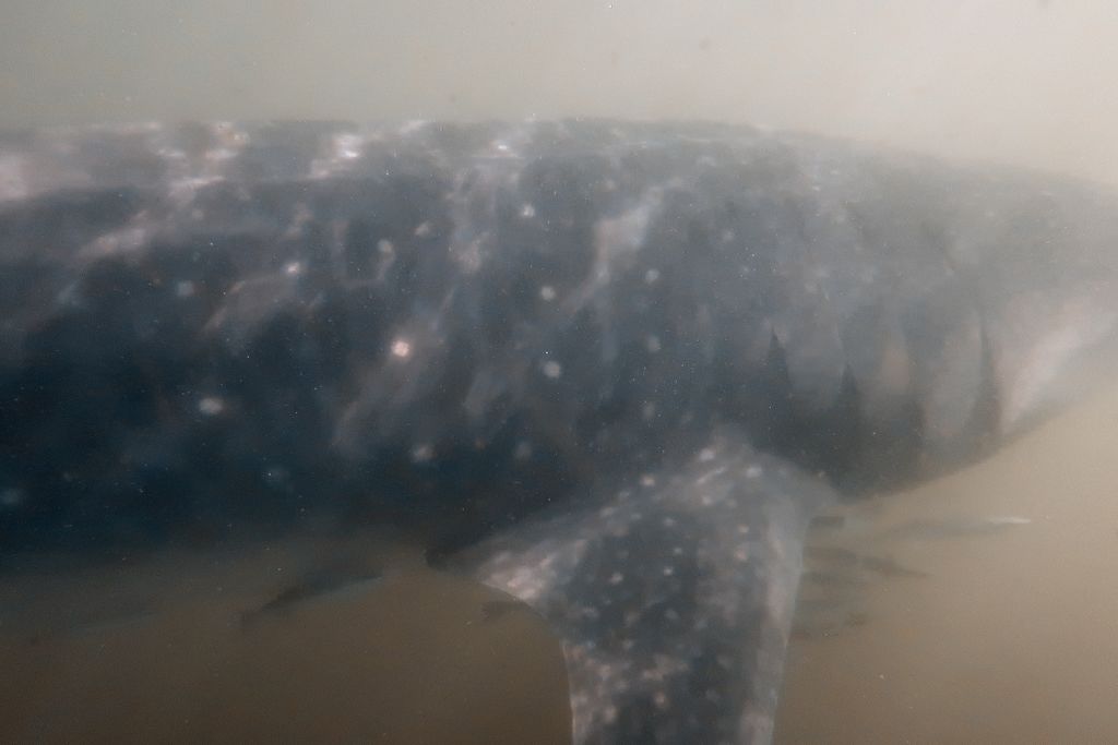 956d6d8f-a58e-43b6-99da-08c6677b8ded