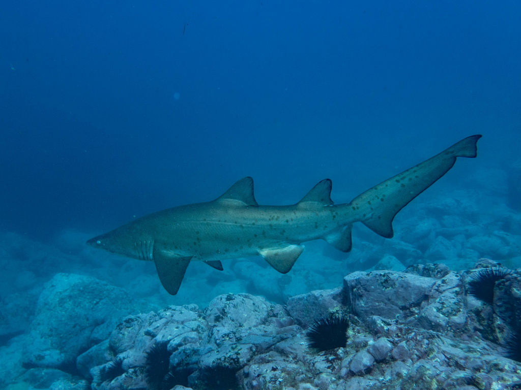 b666afcd-9b8d-4545-ba97-7194235fd600