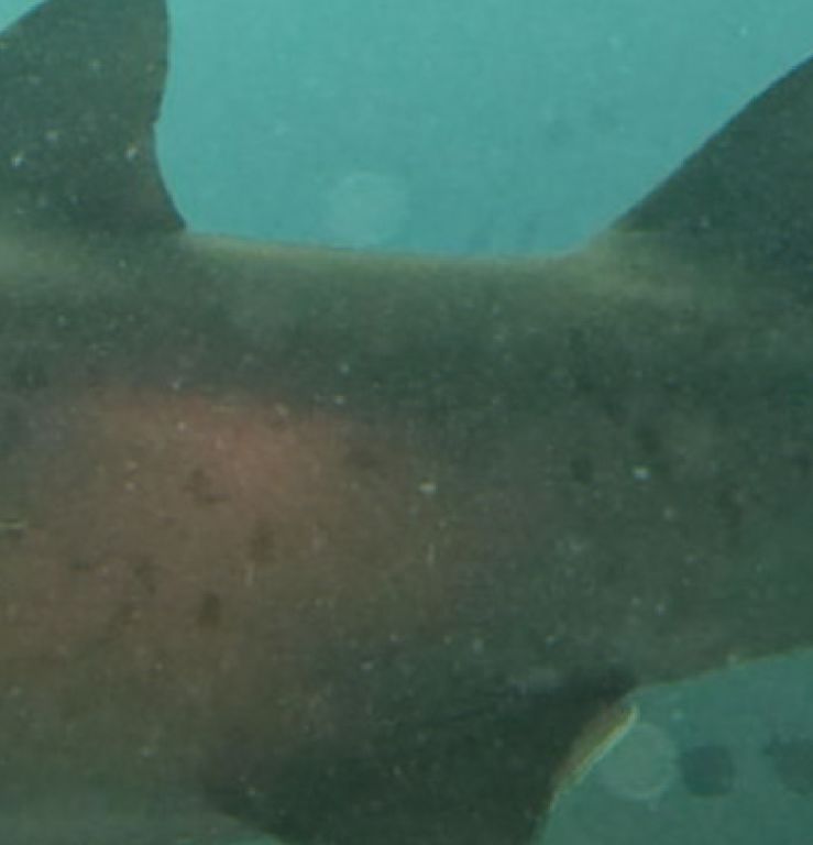 26493e76-125a-4edf-a14e-240648aa960f