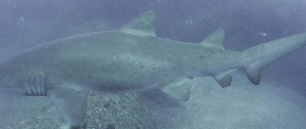 71cfd099-cff4-47aa-81d2-41b2d0d18646