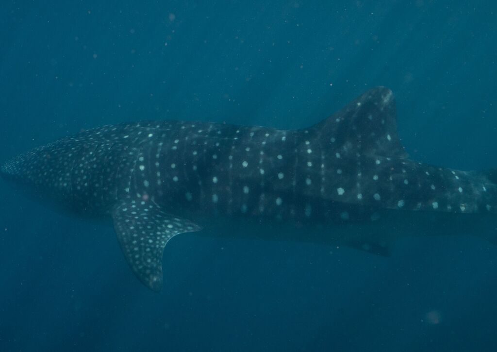 54868965-2164-4e65-8b20-046a47ca8972