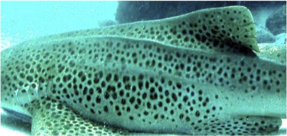 56444ea7-419a-45d2-a445-a0f45fa143b5