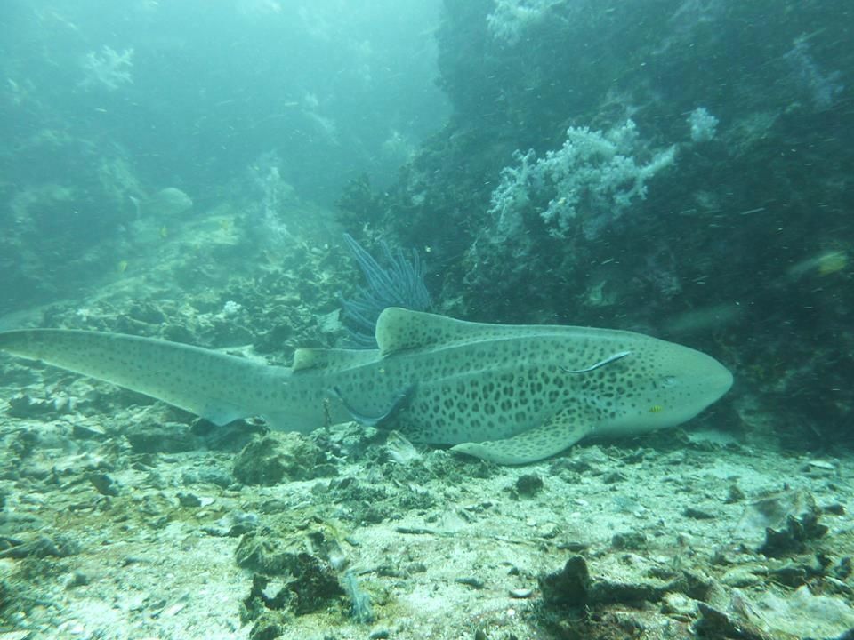 c339c74d-a157-4ff7-9669-d8133a0deeb2