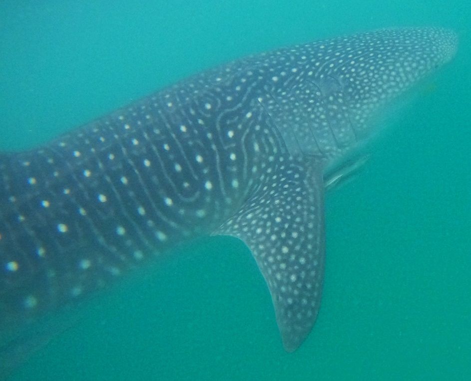 996b9b12-b82a-432c-ab23-5bd51b59f705