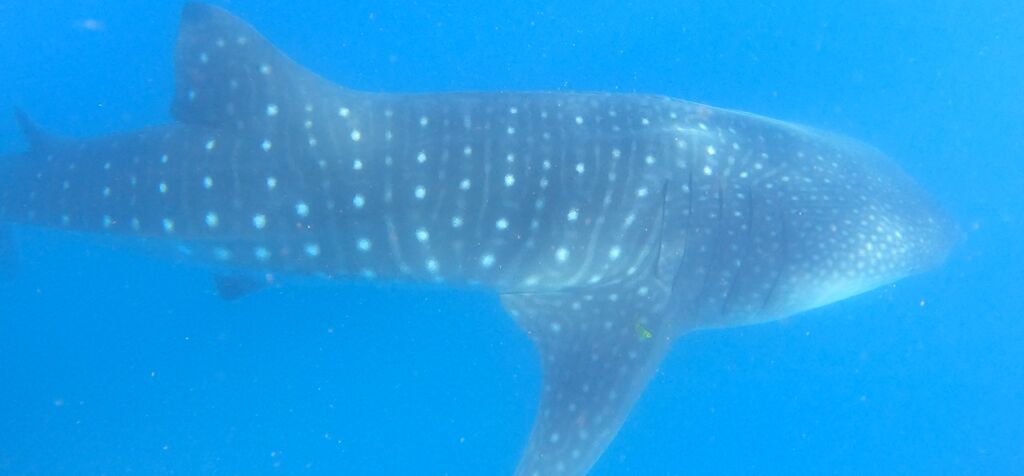 37e06426-c79d-4ecd-ae6d-f53123e27b4f