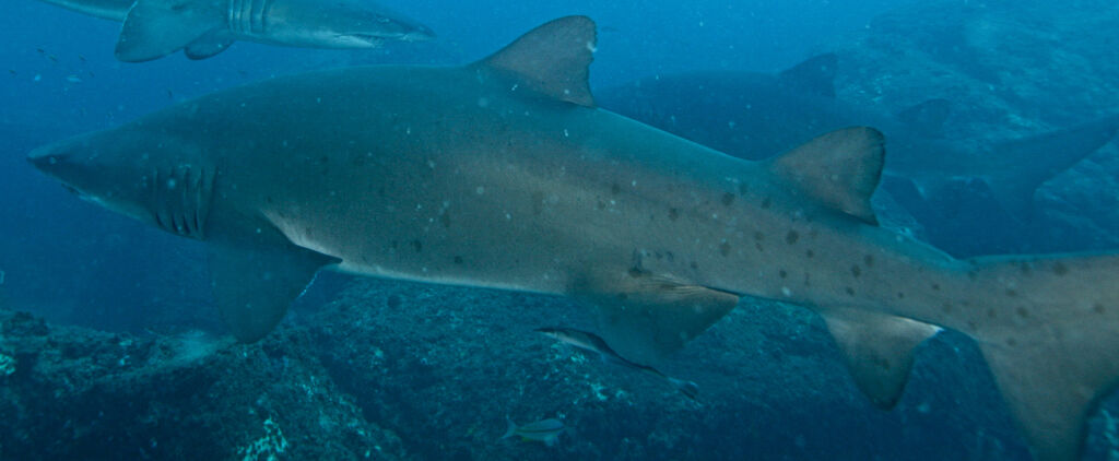 ce5fb6ff-3e9e-4621-ba45-821ef5c7e451