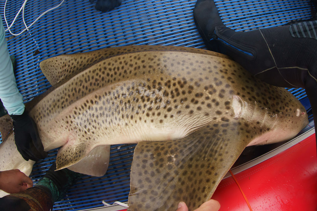 39faf676-9eca-40e2-8a37-858c901da2e5