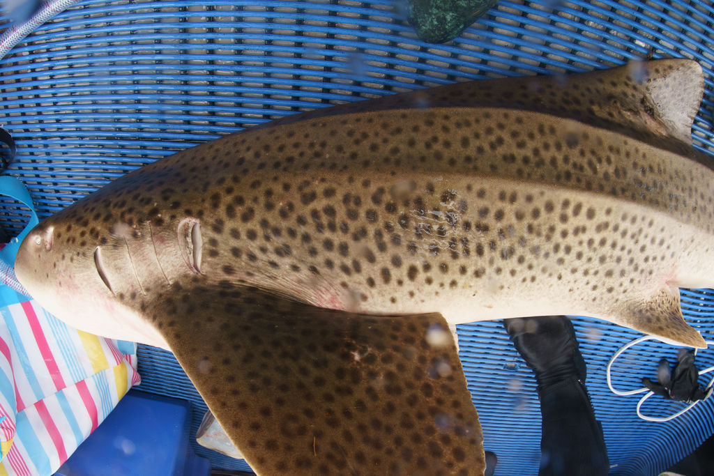 39faf676-9eca-40e2-8a37-858c901da2e5