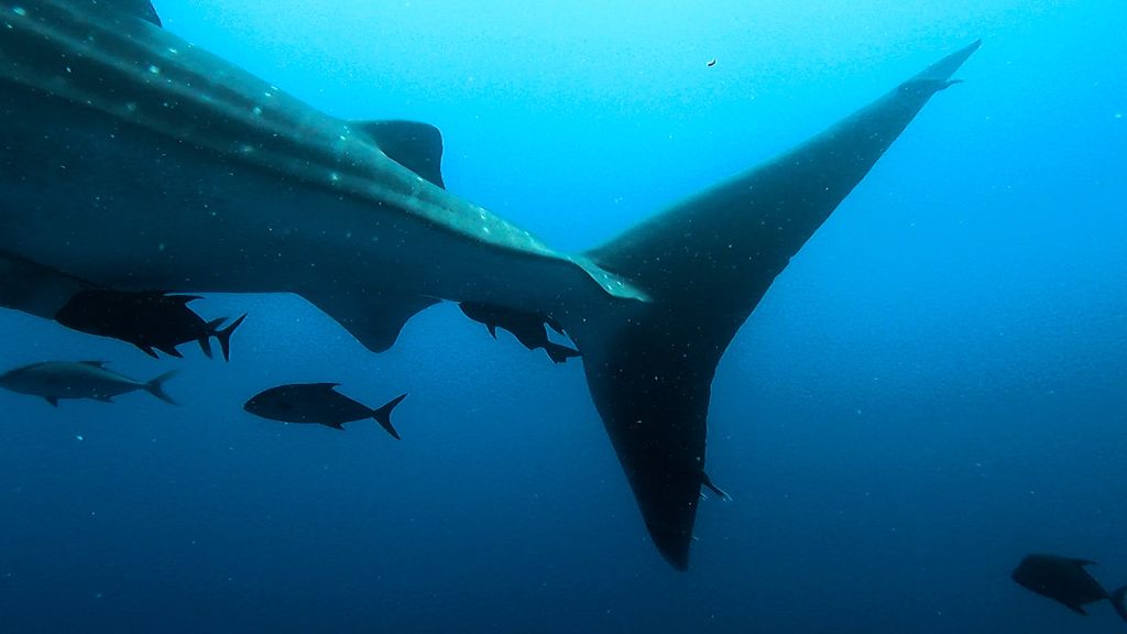 2e18c326-5d19-4de7-ac73-935c20a64222