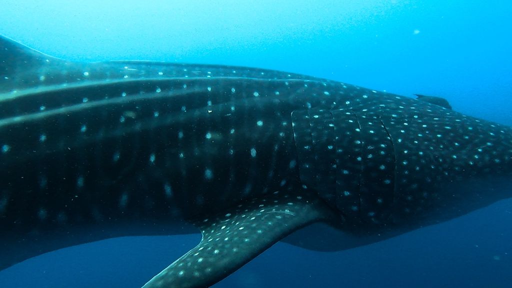 2e18c326-5d19-4de7-ac73-935c20a64222