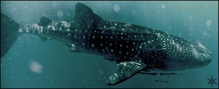 97bacdce-8f02-4d78-a916-480485b8311b