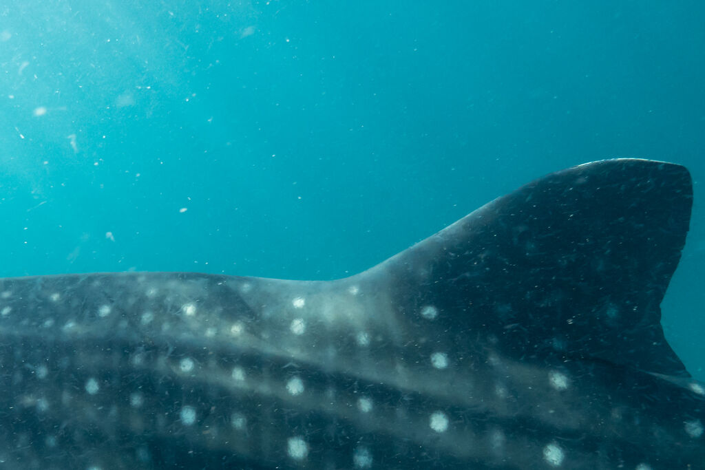 0712e104-be9b-4251-91db-3647ae4978ff