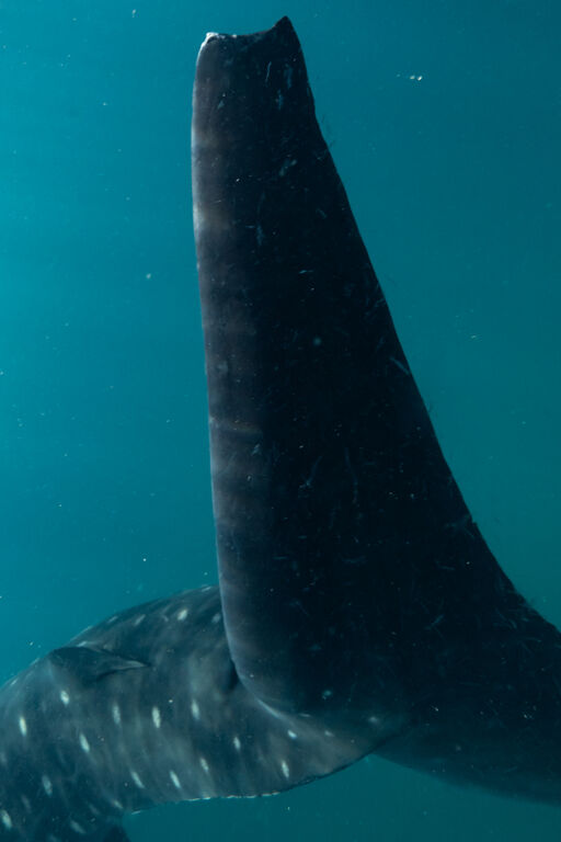 0712e104-be9b-4251-91db-3647ae4978ff