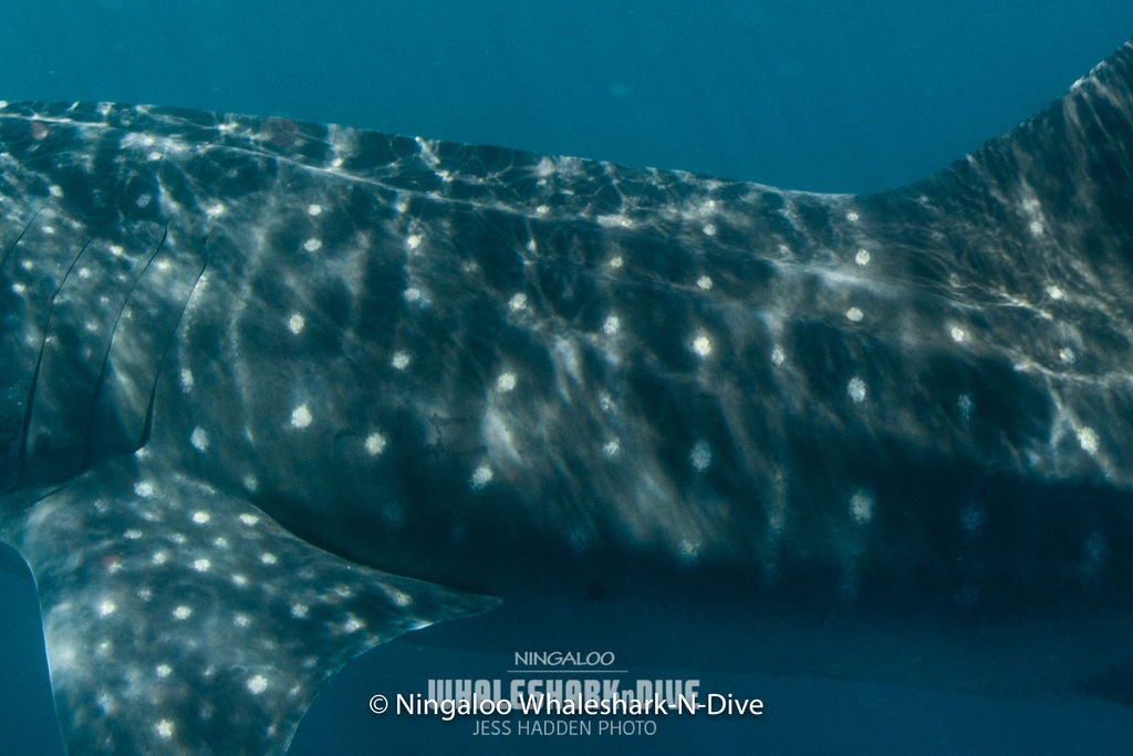 d24607f1-dc70-4998-b9b9-664cc08e46cd