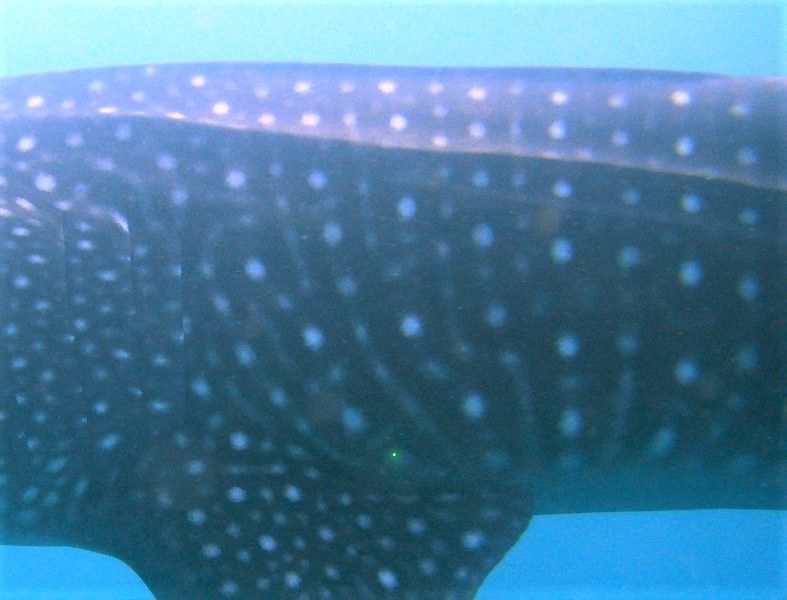 e105953b-8781-42e1-82e9-0f678539785b