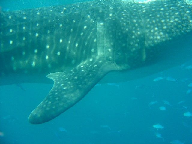 ce5cfb05-e352-4c0f-a91c-a095be636ccd